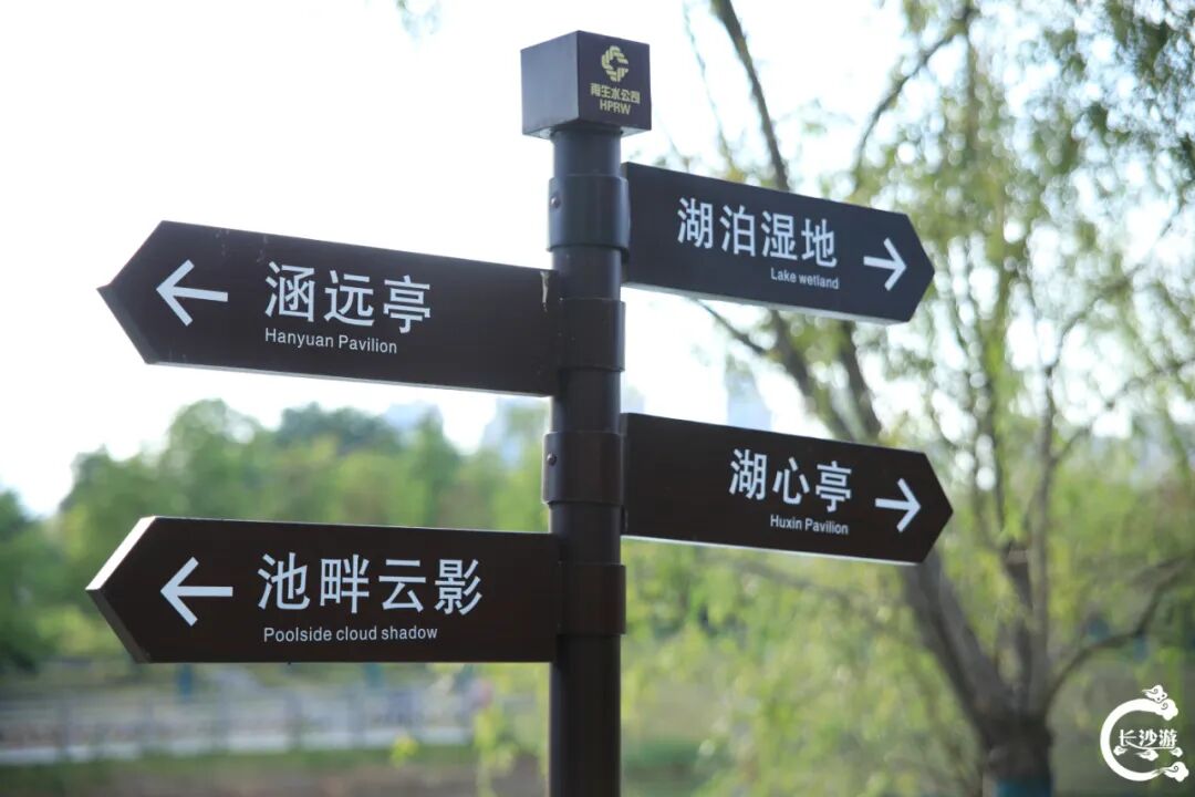 DƬ